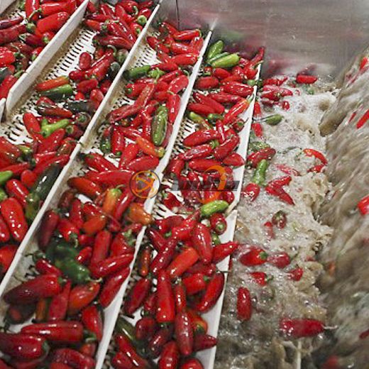 Dây chuyền chế biến ớt đóng hộp