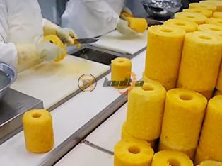 Dây chuyền chế biến đóng hộp dứa Product Photograph
