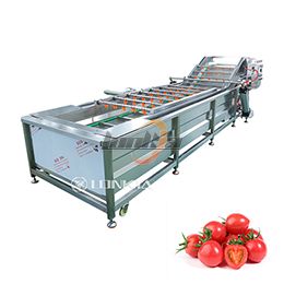Rửa cà chua
