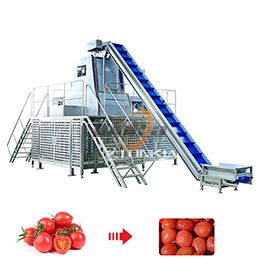 Gọt vỏ cà chua