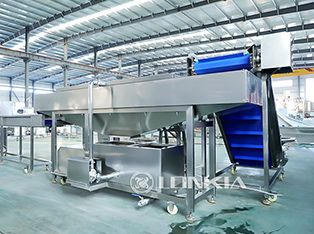 Dây chuyền chế biến đóng hộp dưa chuột Product Photograph