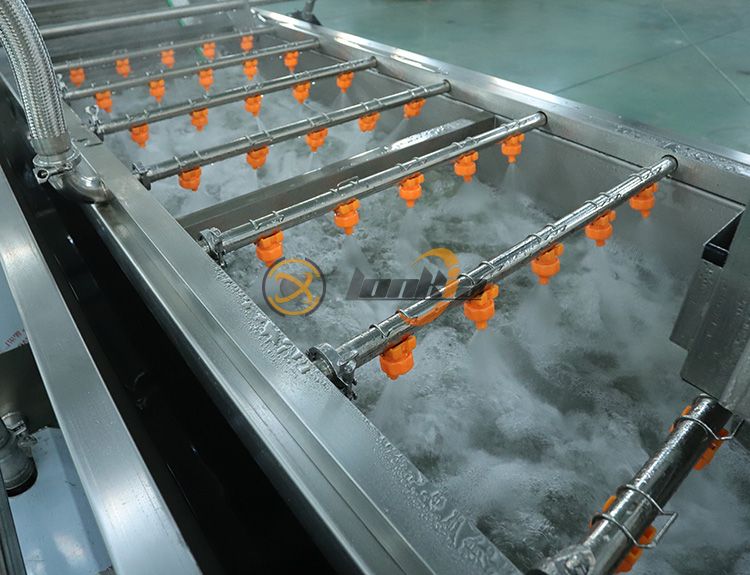 Vegetable Washing Machine7