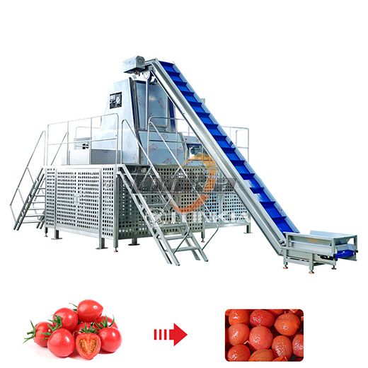 Dây chuyền chế biến đóng hộp cà chua