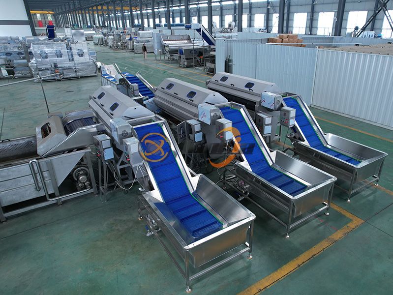 Brush Peeling Machine