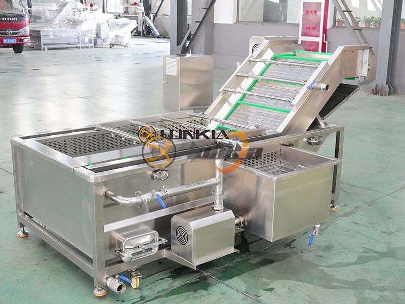 Những yếu tố nào ảnh hưởng đến giá thiết bị làm sạch quả việt quất?