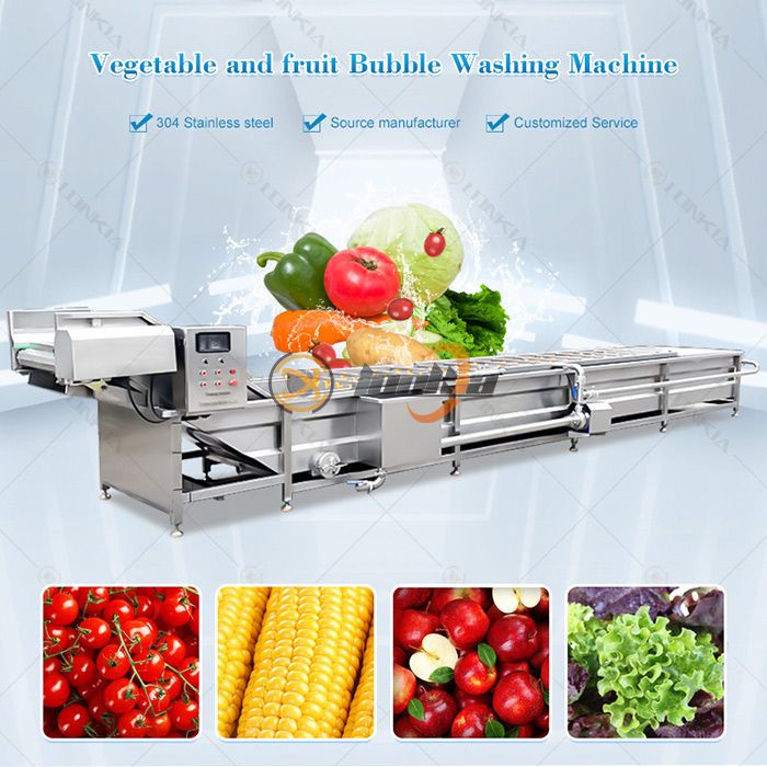 Các nhà sản xuất máy rửa rau hàng đầu cho chế biến thực phẩm công nghiệp