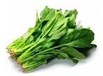 Rau chân vịt