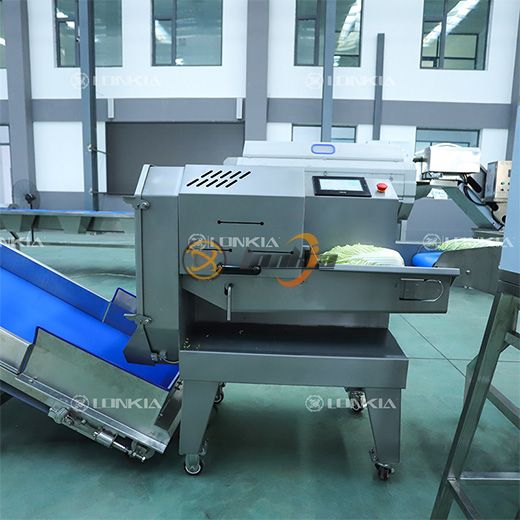 Dây chuyền chế biến rau củ tươi cắt