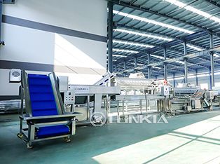 Dây chuyền chế biến đóng hộp dưa chuột Product Photograph