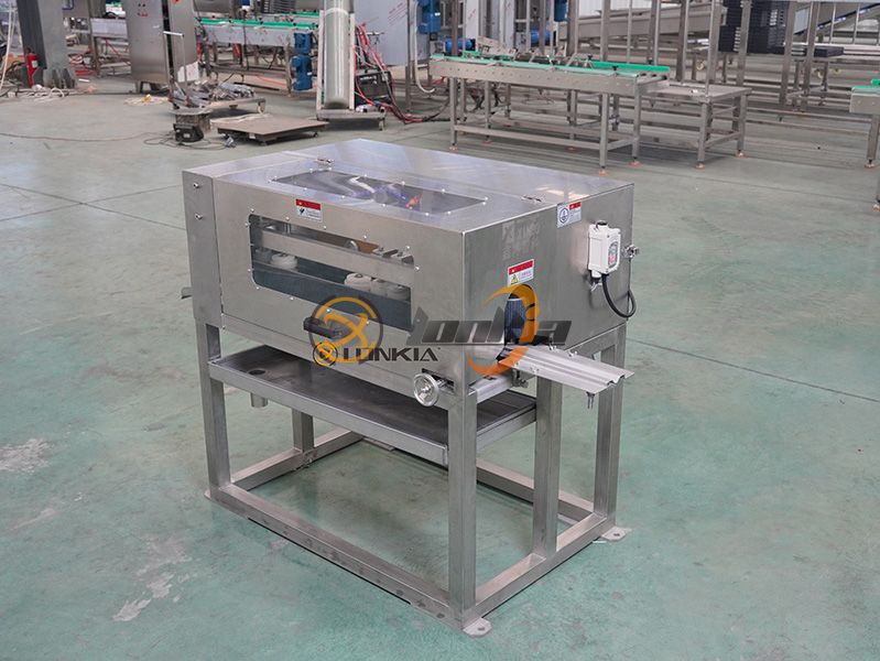 Fish Gutting Machine