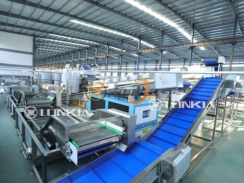 French Fries Processing Plant Price