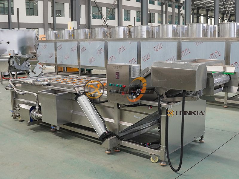 fruit and vegetable washer machine