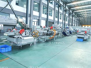 Dây chuyền chế biến rau củ tươi cắt Product Photograph