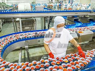 Dây chuyền chế biến đóng hộp cà chua Product Photograph