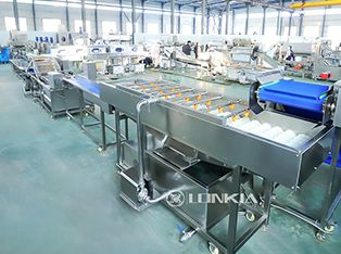 Dây chuyền chế biến đóng hộp dưa chuột Product Photograph