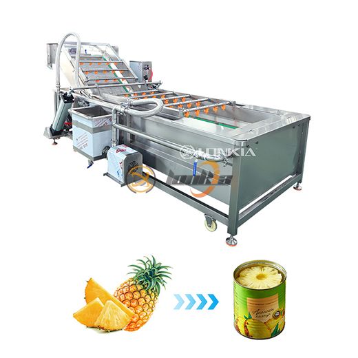 Dây chuyền chế biến đóng hộp dứa