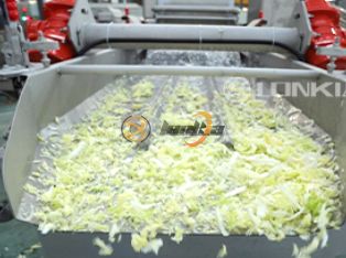 Dây chuyền chế biến rau củ tươi cắt Product Photograph