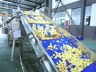 Dây chuyền chế biến rau củ tươi cắt Product Photograph