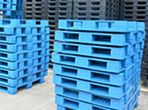 Pallet nhựa