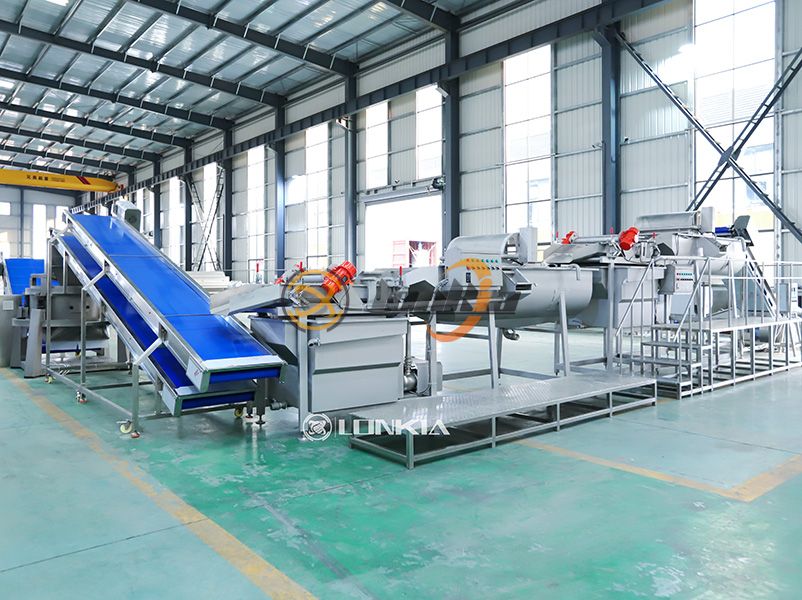 Leaf Vegetable Processing Line in Plant