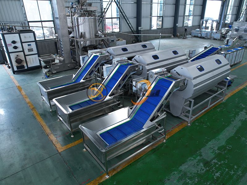 Bạn thực sự cần máy rửa và gọt vỏ khoai tây có công suất bao nhiêu?