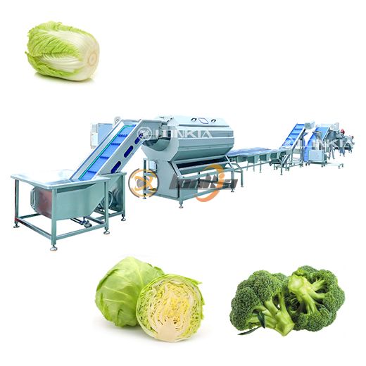 Dây chuyền chế biến rau củ tươi cắt