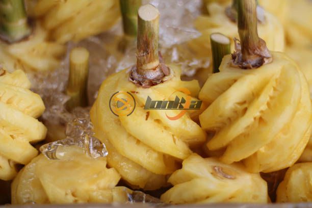 pineapple peeler machine