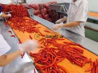 Dây chuyền chế biến ớt đóng hộp Product Photograph