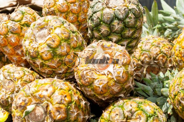 Yếu tố nào ảnh hưởng đến chất lượng gọt vỏ trong máy gọt vỏ dứa?