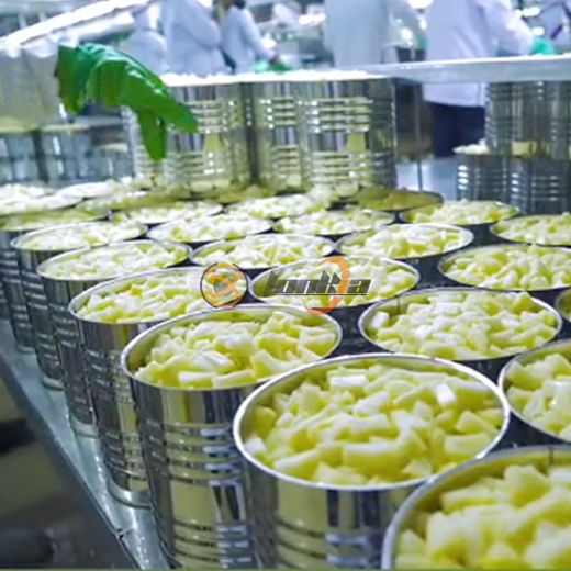 Dây chuyền chế biến đóng hộp dứa