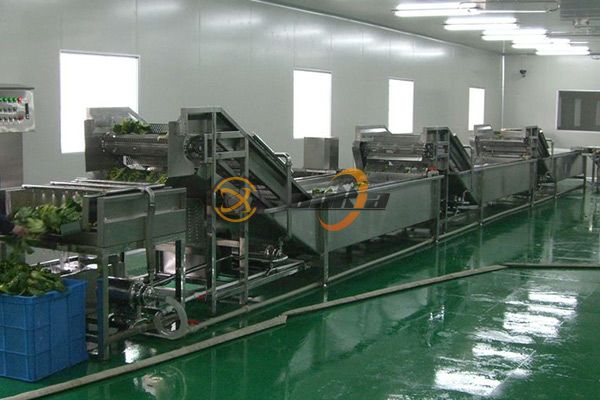 Tại sao các nhà sản xuất máy rửa rau hàng đầu lại ưa chuộng thiết kế cấp công nghiệp