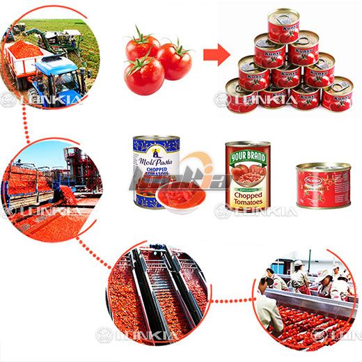 Dây chuyền chế biến đóng hộp cà chua