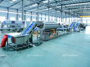 Dây chuyền chế biến rau củ tươi cắt Product Photograph