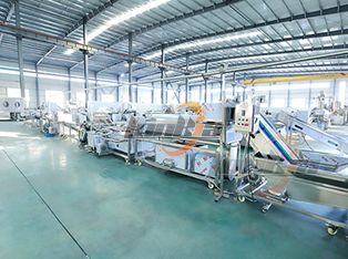 Dây chuyền chế biến đóng hộp cà chua Product Photograph