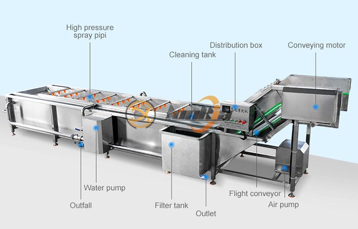 Máy rửa rau củ tốt nhất cho nhà hàng, trang trại và nhà máy chế biến thực phẩm