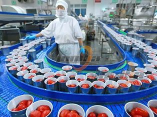 Dây chuyền chế biến đóng hộp cà chua Product Photograph